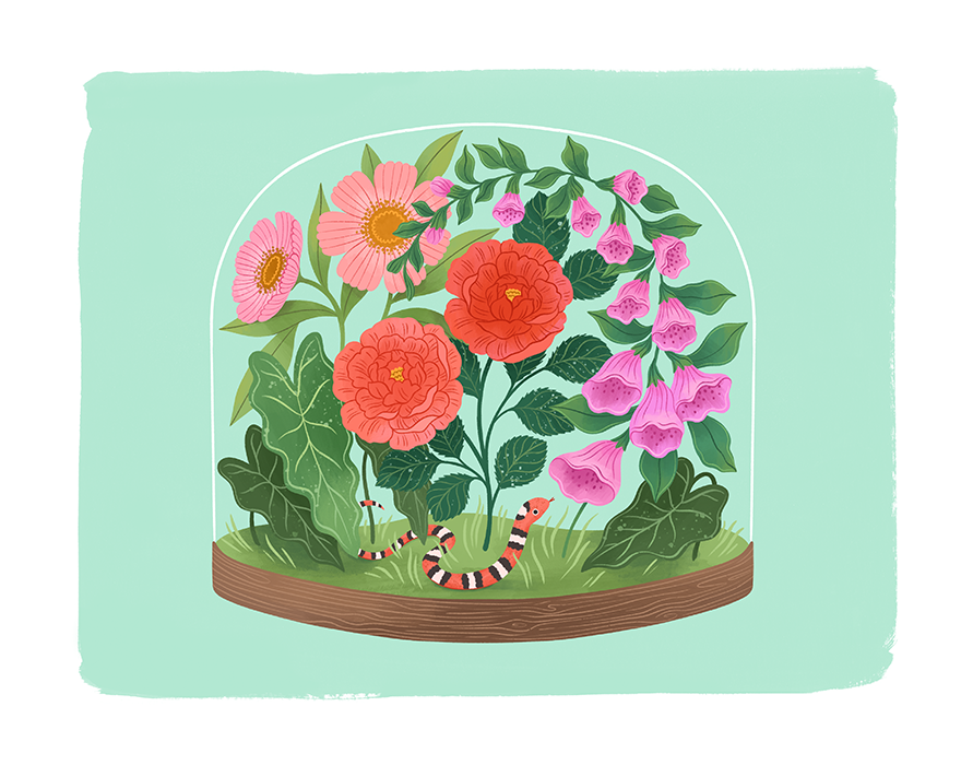 Terrarium: Roses and Foxgloves Fine Art Print