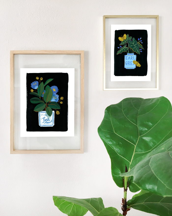 Plant Series 001: The Rubber Plant Fine Art Print